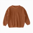 thumbnail image 1 of Gvdentm Toddler Baby Boys Girls Cotton Knit Sweater Crewneck Long Sleeve Pullover Top Brown,12-18 Months, 1 of 5