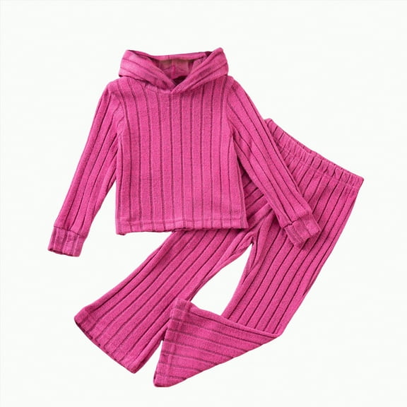 Gvdentm Toddler Baby Girl Clothes 5T Clothes Fall Winter Outfits Infant Girl Sweatshirt Top 18 24 Months 2T 3T Pants Set(Hot Pink,2-3 Years)
