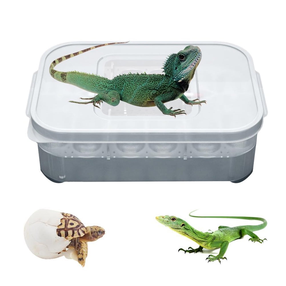 Gwong Pet Reptile Lizard Gecko Snake 12 Grids Egg Hatchery Breeding Box ...