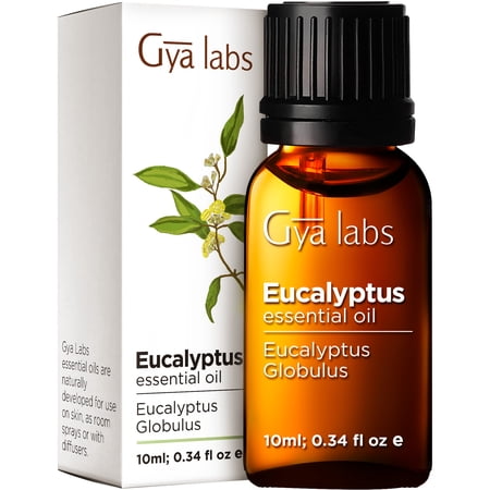 Gya Labs Australian Eucalyptus Essential Oil (0.34 fl oz) - Eucalyptus Oil Essential Oils for Diffuser, Skin, Humidifier, Sinus & Hair