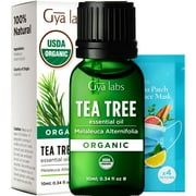 Gya Labs Organic Australian Tea Tree Essential Oil for Skin - Natural Tea Tree Oil for Hair & Face, Toenails, Scalp & Piercings (0.34 fl oz)
