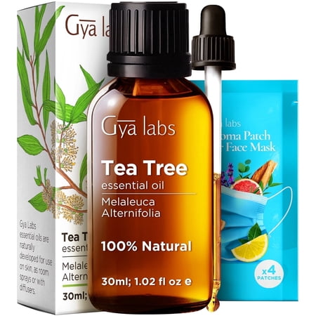Gya Labs Tea Tree Oil for Skin, Hair, Face & Toenails - 100% Pure Natural Melaleuca Tea Tree Essential Oil for Piercings, Scalp, Hair & Candle Making (1.02 Fl Oz)