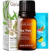 Gya Labs Australian Tea Tree Oil for Skin, Hair, Face & Toenails - Natural Melaleuca Tea Tree Essential Oil for Piercings, Scalp & Hair - 0.34 Fl Oz