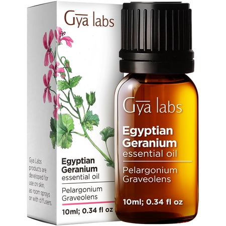Gya Labs Egyptian Geranium Essential Oil - Aromatherapy Geranium Essential Oil for Skin, Hair, Body Massage & Diffuser - 0.34 fl oz