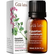 Gya Labs Egyptian Geranium Essential Oil - Aromatherapy Geranium Essential Oil for Skin, Hair, Body Massage & Diffuser - 0.34 fl oz