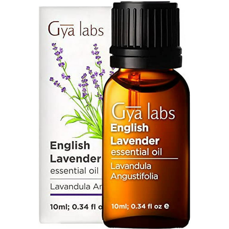 Gya Labs English Lavender Oil Essential Oil for Diffuser (10 ml) - 100%  Pure Therapeutic Grade Lavender Essential Oils for Skin, Hair Growth 