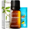thumbnail image 1 of Gya Labs Eucalyptus Essential Oil for Diffuser, Skin, Humidifier, Sinus & Hair - 0.34 fl oz, 1 of 8