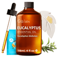 thumbnail image 1 of Gya Labs Eucalyptus Essential Oil with Aromatherapy Stone - Pure Australian Fresh Scent for Diffuser, Skincare, Hair Care & DIY - 4 fl oz, 1 of 6