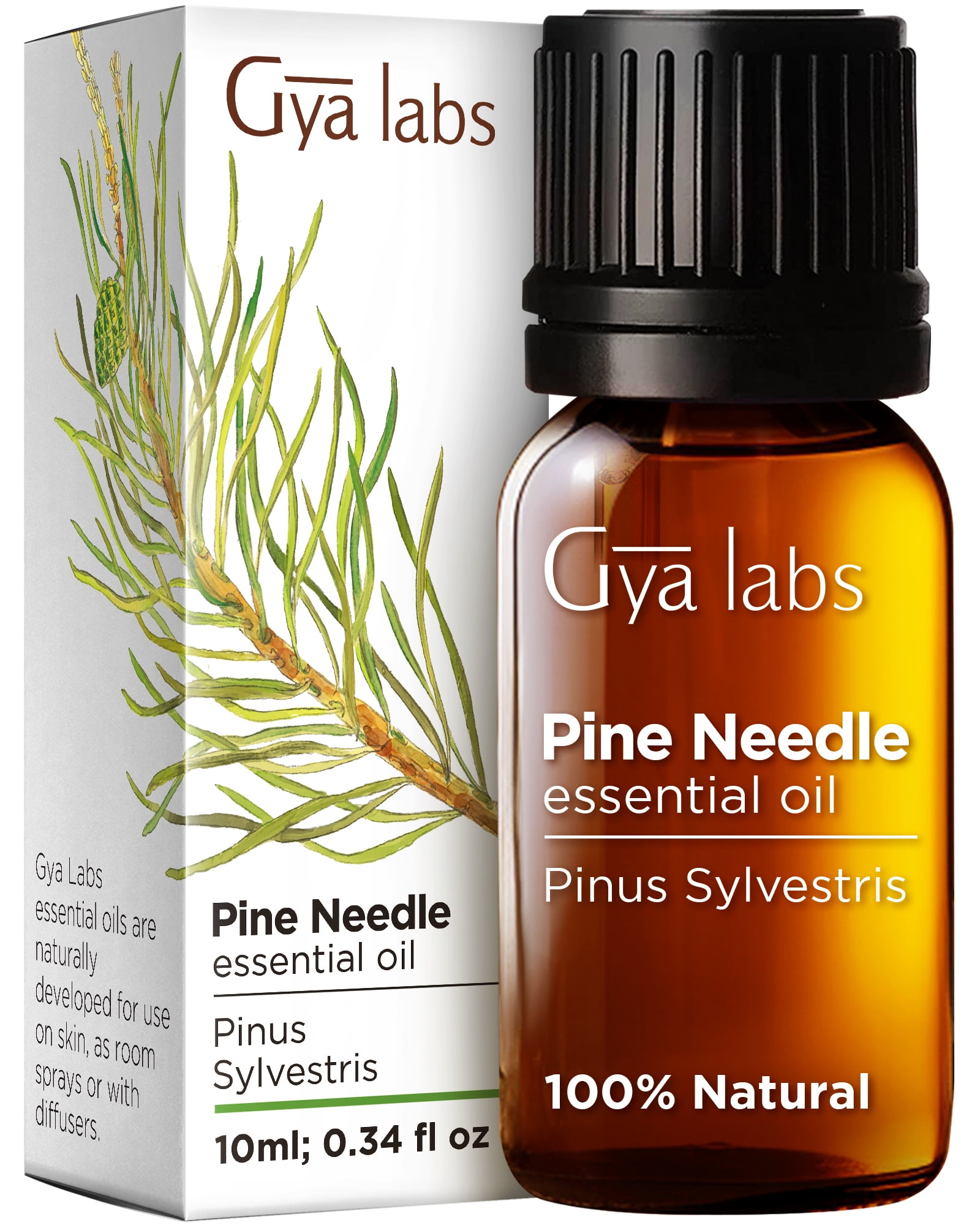 Gya Labs Pine Essential Oils for Diffuser - Fall Pine Oil Essential Oils -  Pine Essential Oil for Candle Making (0.34 fl oz)