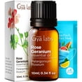 thumbnail image 1 of Gya Labs Rose Geranium Essential Oil for Skin, Natural Geranium Oil for Diffuser & Aromatherapy - 0.34 fl oz, 1 of 8
