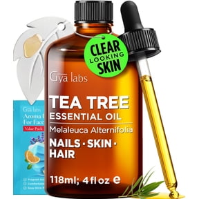 Gya Labs Tea Tree Essential Oil with Aromatherapy Stone - Pure Australian Herbaceous Scent for Skincare, Nails, Hair & DIY - 4 fl oz