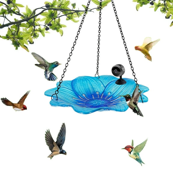 Gyedtr Clear Acrylic Bird Feeder, Lightweight & Easy to Install,with 1080P HD Night Vision Camera, WiFi Hotspot & Remote Mobile Phone Connection for Outdoor Bird Watching, Capture & Photos