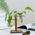 thumbnail image 1 of Gyedtr Glass Planter Bulb Vase, Desktop Plant Terrarium Kit with Retro Solid Wooden Stand for Hydroponics Plants Home Garden Office Wedding Decor, 1 of 9