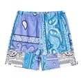 thumbnail image 1 of Gyexs Boys Summer Boho Shorts Paisley Print Elastic Waisted Casual Graphic Shorts with Pockets Blue, 5-6 Years, 1 of 2
