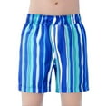 thumbnail image 1 of Gyexs Boys Swim Trunks Size 3T-4T Cartoon Dinosaur Print Swim Shorts Bathing Suit Elastic Waistband Casual Summer Beach Vacation Shorts X02-Blue, 1 of 6