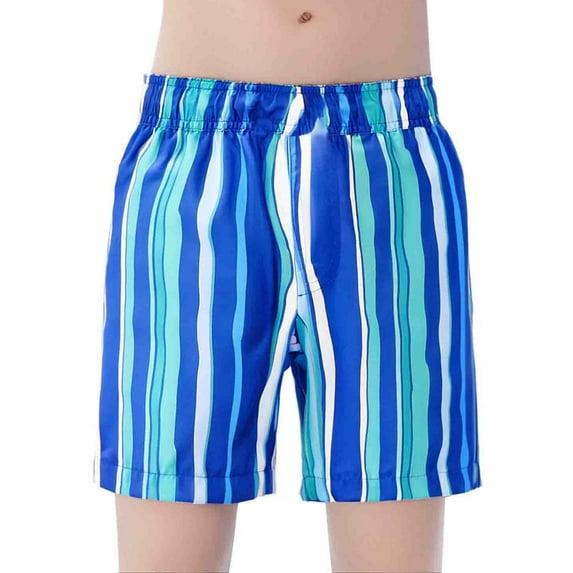 Gyexs Boys Swim Trunks Size 3T-4T Cartoon Dinosaur Print Swim Shorts Bathing Suit Elastic Waistband Casual Summer Beach Vacation Shorts X02-Blue