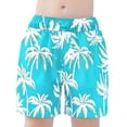 thumbnail image 1 of Gyexs Boys Swim Trunks Size 4-5 Cartoon Dinosaur Print Swim Shorts Bathing Suit Elastic Waistband Casual Summer Beach Vacation Shorts Light Blue, 1 of 6