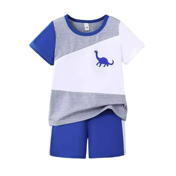 Gyexs Toddler Boy Summer Outfits Clothes Kids Boys Dinosaur Print Short Sleeve Cotton T-Shirt and Shorts Clothing Sets(Sportswear, A01 Blue, 7-8 Years)