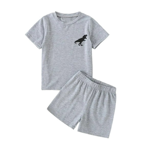 Gyexs Toddler Boy Summer Outfits Clothes Kids Boys Dinosaur Print Short Sleeve Cotton T-Shirt and Shorts Clothing Sets(Sportswear, Z07 Grey, 13-14 Years)