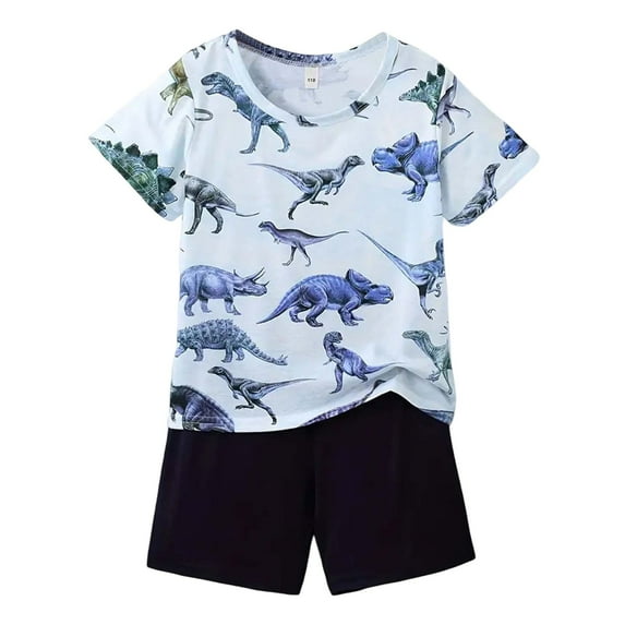 Gyexs Tweens Summer Clothes Boys Girls Size 11-12 Fashion Cute Dinosaur Print Short Sleeve T Shirt Shorts 2 Piece Outfit Set(Sportswear, X01-Sky Blue, 11-12 Years)