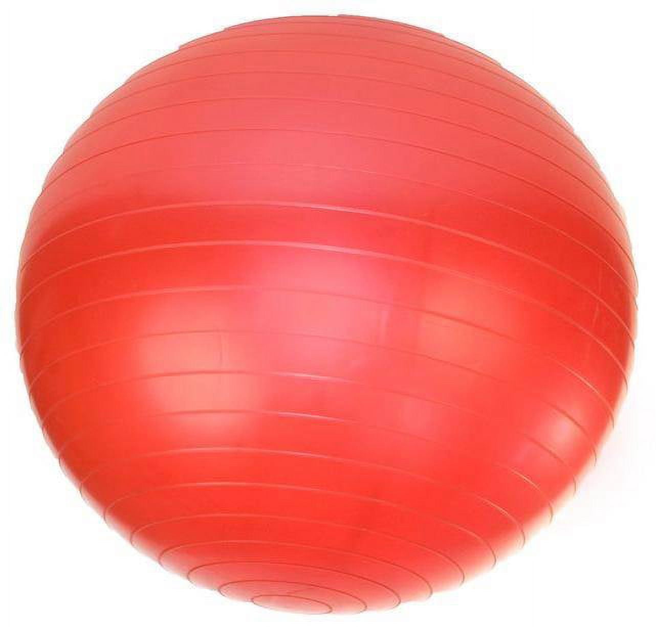Gym Ball w/ Pump- 75cm