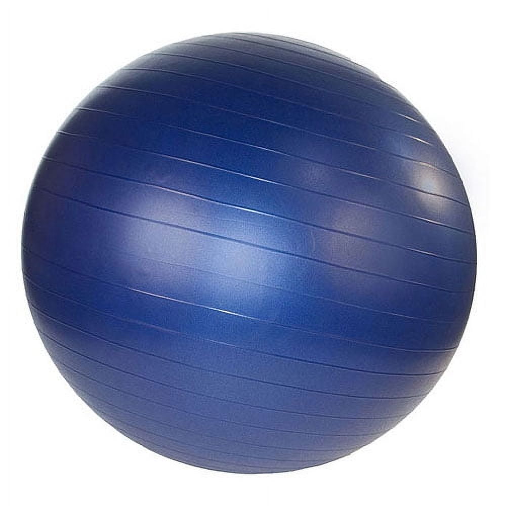 Gym Ball w/ Pump 55cm