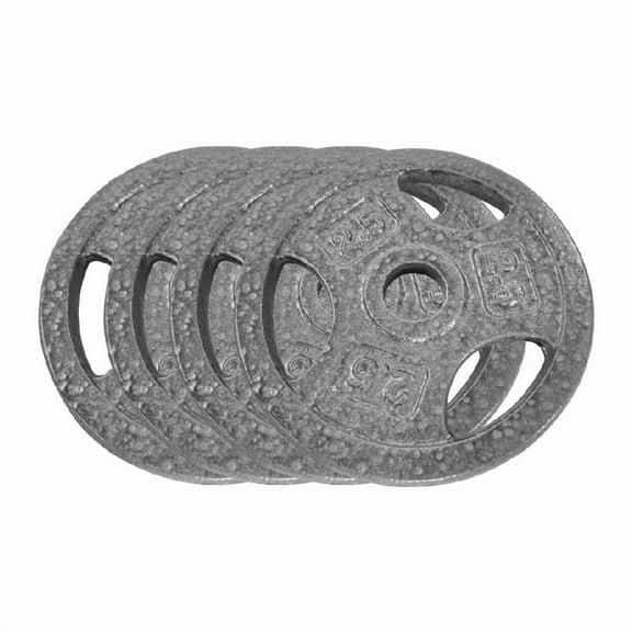 Gym Cast Iron Weight Plates Set 1 Inch, 2.5 Lbs/5 Lbs/10 Lbs/25 Lbs Bumper Plates for Home Gym, Strength Training & Weightlifting (Single,Pairs,Sets Available)