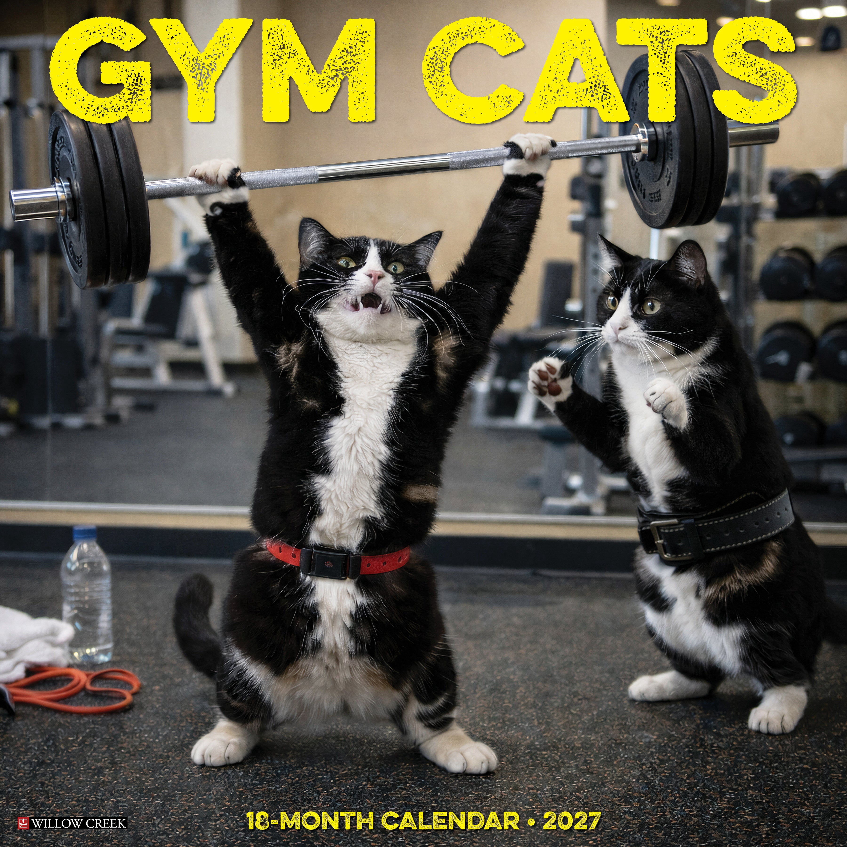 Willow Creek Press, Gym Cats 2027 Wall Calendar