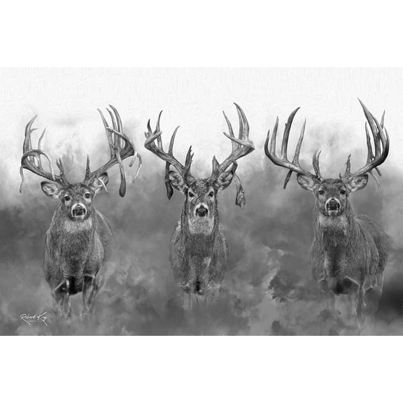 Gym Rats Light Whitetail Print by Robert King, Whitetail deer Trophy Bucks, Giant Bucks, Buck Print, Deer Poster, Racks, Cabin Woodland