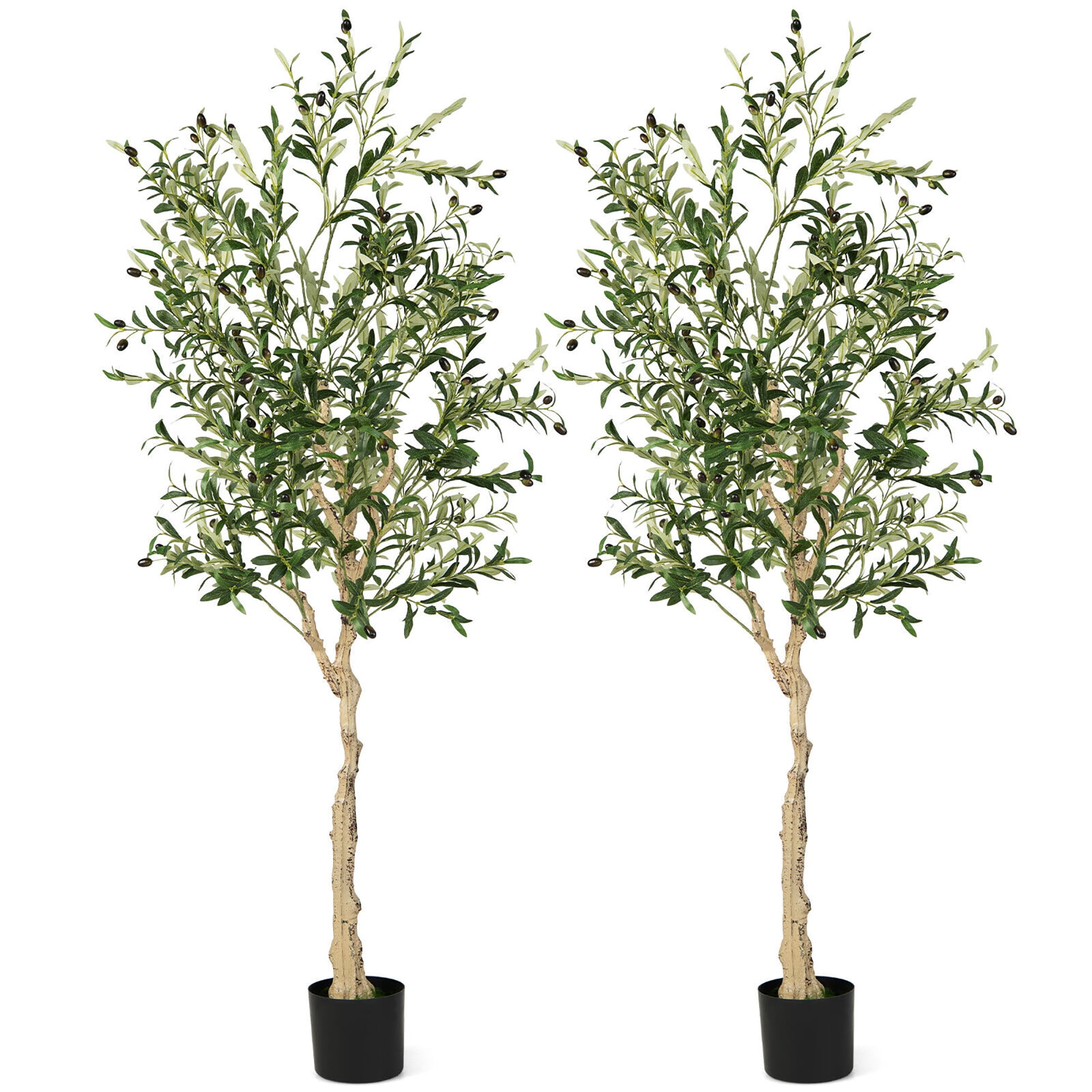 Gymax 2-Pack Artificial Olive Tree 6 FT Tall Faux Olive Plants for Indoor  and Outdoor