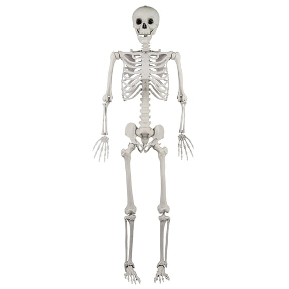 Gymax 5.4 FT Halloween Skeleton Decoration Life Size Large Skeleton w/ Posable Joints