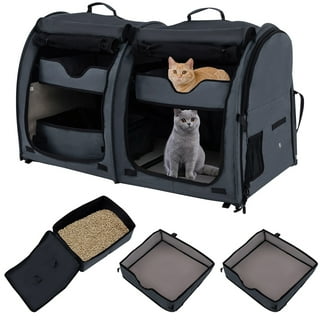 Best cat carriers for two cats 2025