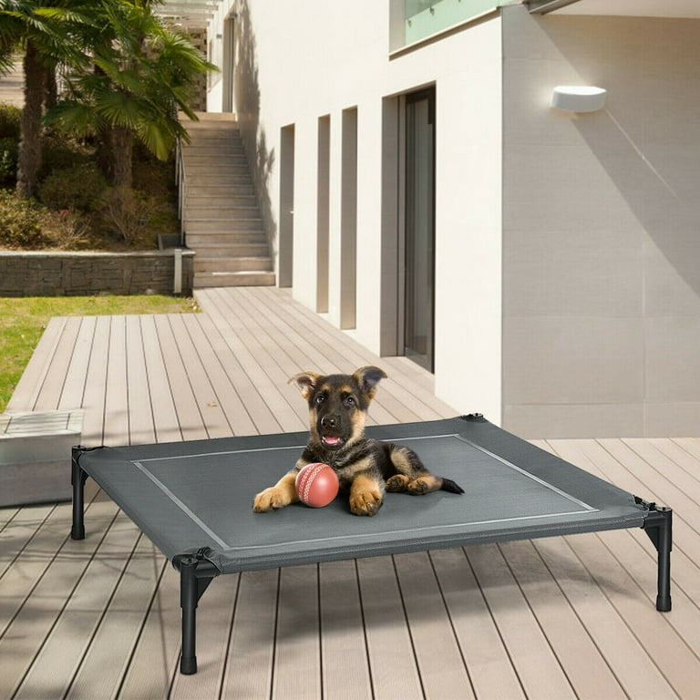 Dog top place cot