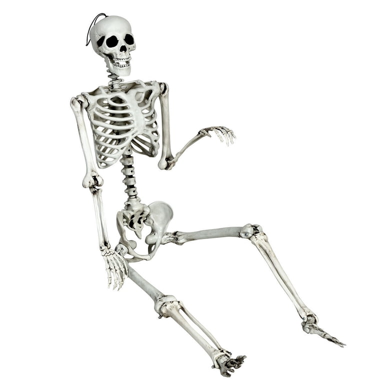Gymax Full Body Halloween Skeleton 5.4ft Life Size w/ Hanging Rope