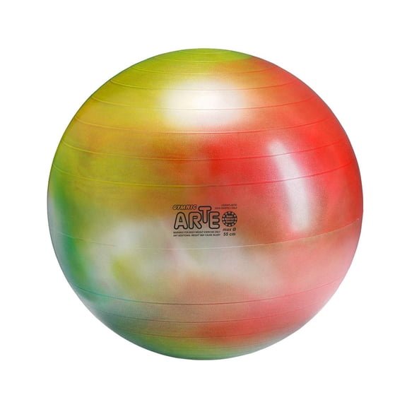 Gymnic Arte Plus Burst-Resistant Exercise Ball (55 cm)