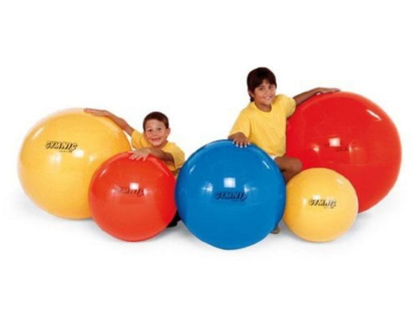 Gymnic / Classic Fitness Ball