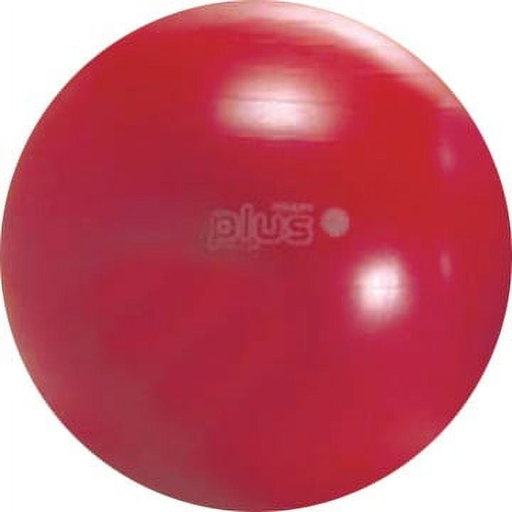 Gymnic Classic Plus 22" Burst-Resistant Fitness Ball