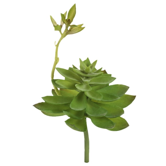 Gymnture Faux Succulent Artificial Succulentsunpotted Ornaments Fakegreenery Flocked Arrangements Pick Lotus Landscape Hanging