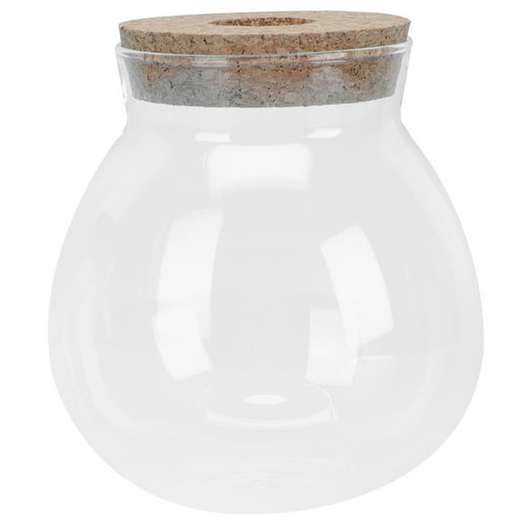 Micro Landscape Terrarium Small Fish Tank Glass Hydroponic Plants Container