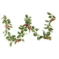 thumbnail image 1 of Gymnture christmas Christmas Garland with Green Leaves & Red Holly Berries for Decoration, 1 of 1