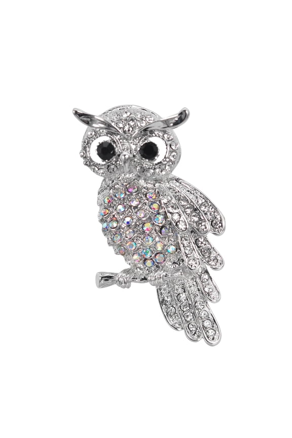 Womens Crystal Rhinestones Perched Owl Bird Brooch Pin (AB Silver Tone)