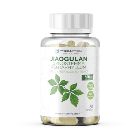 Gynostemma Pentaphyllum Supplement - 600mg per Capsule - 98% Gypenoside Extract (20:1) - Jiaogulan - 60 Capsules - Adaptogenic Herbal Supplement - TerraForm Nutrition
