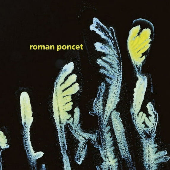 Roman Poncet - Gypsophila - Music & Performance - Vinyl