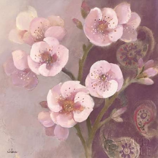 Gypsy Blossoms II Canvas Art - Albena Hristova (24 x 24)