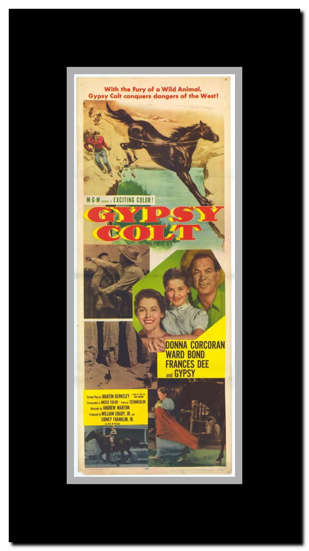 Gypsy Colt Framed Movie Poster