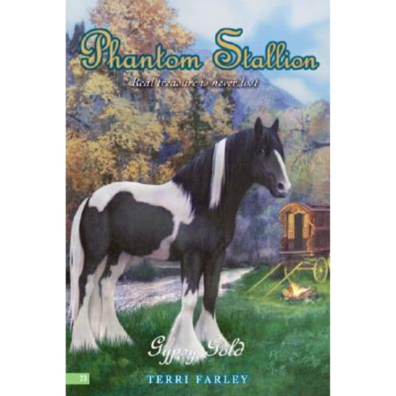 Pre-Owned Gypsy Gold (Phantom Stallion, No. 23) (Paperback) 006081540X 9780060815400