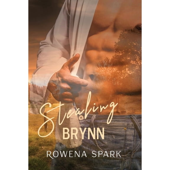 Gypsy Heart: Stealing Brynn (Paperback)