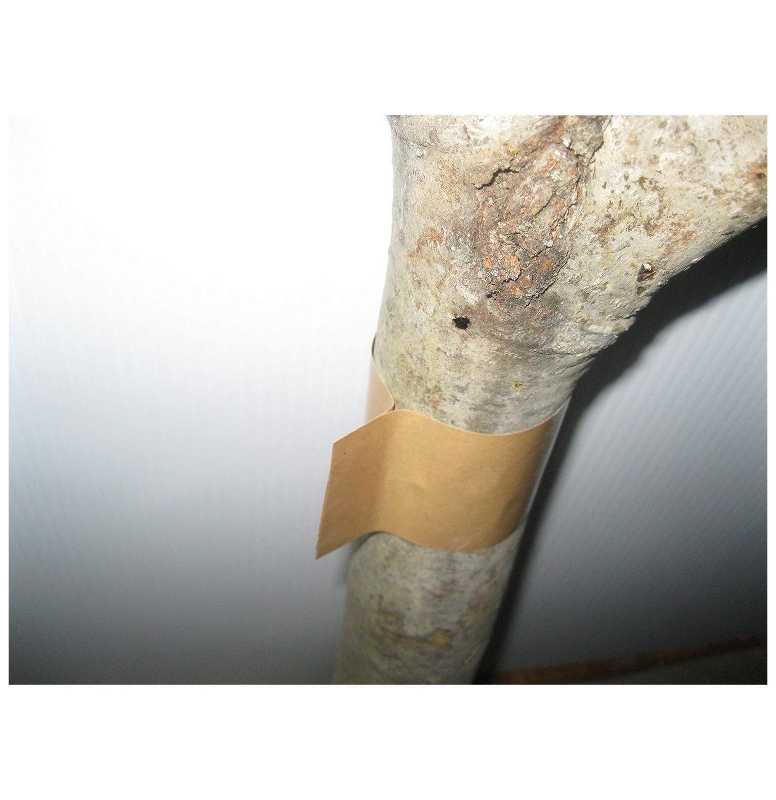 Gypsy Moth/Tent & Oakworm Tree Band Barrier Tape Protection