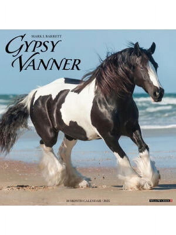 Gypsy Vanner Horse 2025 12 X 12 Wall Calendar