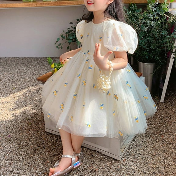 Gyratedream 1-6Y Toddler Little Girls Embroidered Puff Sleeve Lace Tulle Dress Tutu Princess Dresses